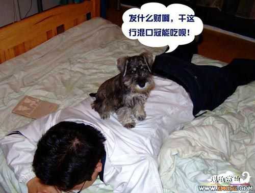 [��ͼ]��Ħ���ĵ��������