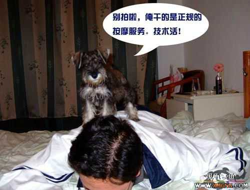 [��ͼ]��Ħ���ĵ��������