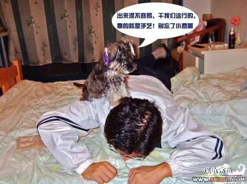 [��ͼ]��Ħ���ĵ��������