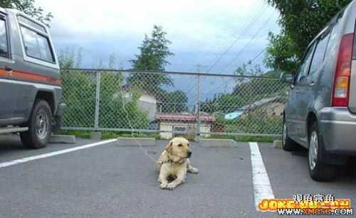 [��ͼ]��ռ��λ�ĺð취