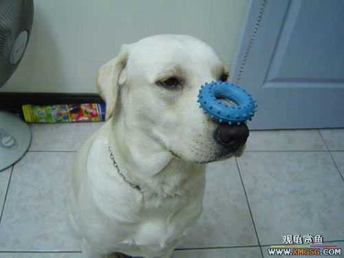 [��ͼ]�����º�ġ��ͷ���