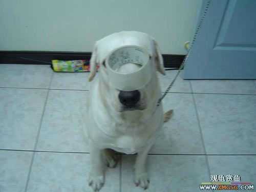 [��ͼ]�����º�ġ��ͷ���