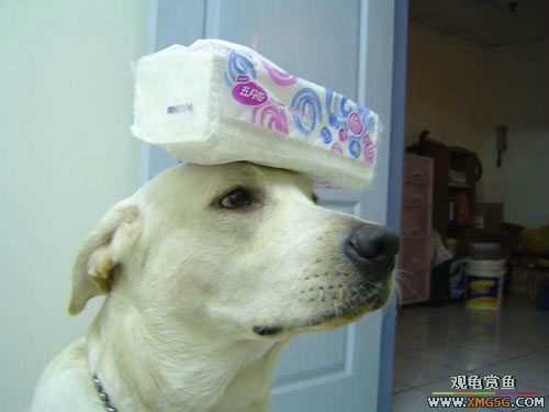 [��ͼ]�����º�ġ��ͷ���