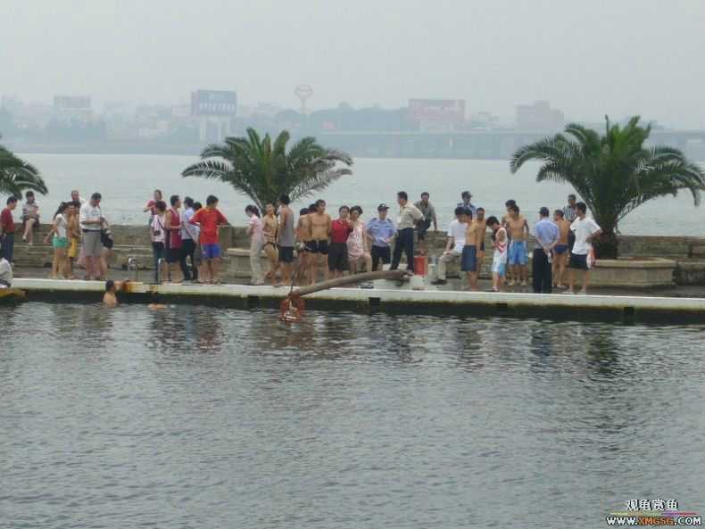 �����������ף�ץѼ�ӣ�