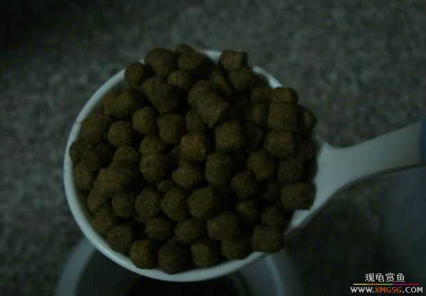 [ԭ��]����������