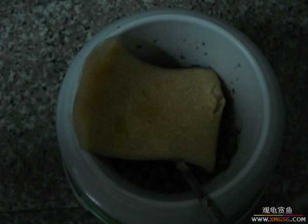 [ԭ��]����������