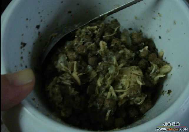 [ԭ��]����������