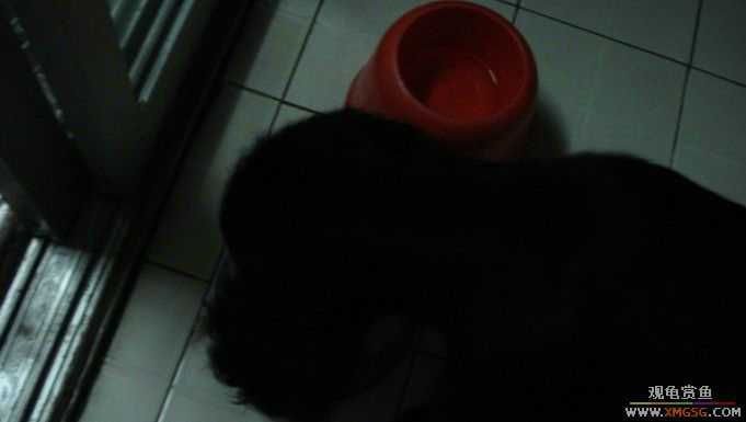 [ԭ��]����������