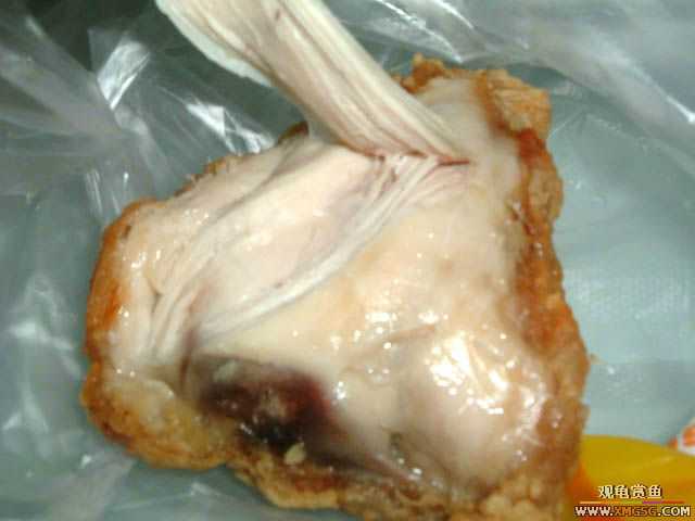 �¿�ʿ�����Ʋˡ���ը����