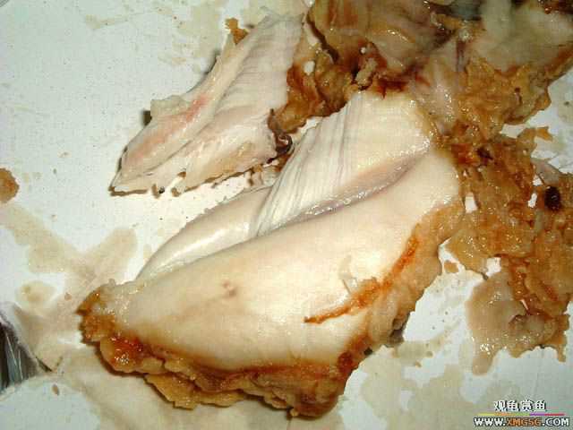 �¿�ʿ�����Ʋˡ���ը����