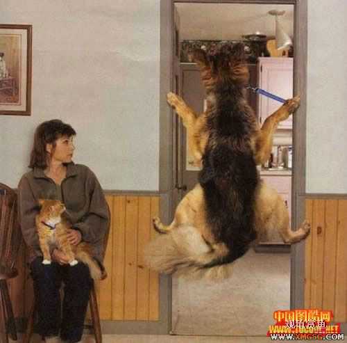 [��ͼ]����