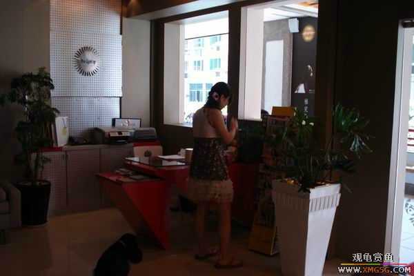 [ԭ��]6.30����������Ӱ�μ�~