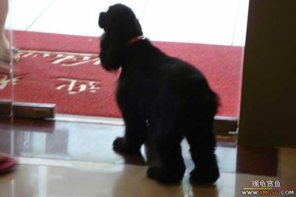 [ԭ��]6.30����������Ӱ�μ�~