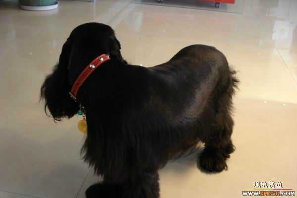 [ԭ��]6.30����������Ӱ�μ�~