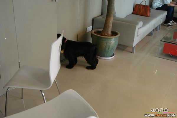 [ԭ��]6.30����������Ӱ�μ�~