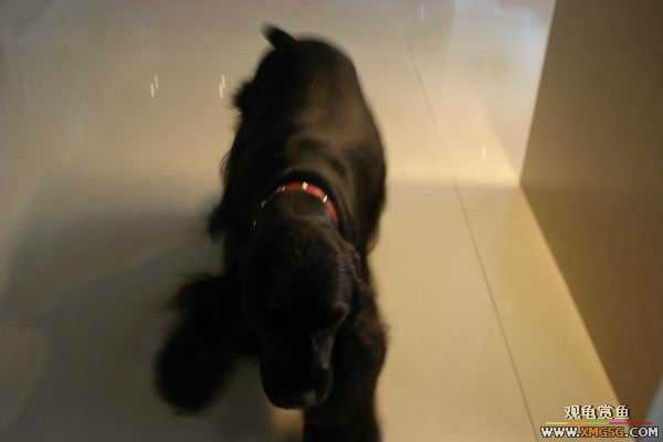 [ԭ��]6.30����������Ӱ�μ�~