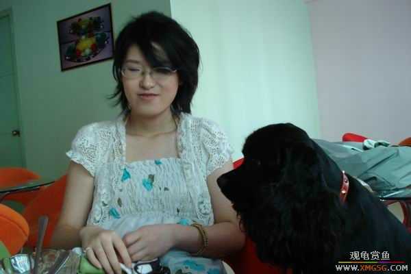 [ԭ��]6.30����������Ӱ�μ�~