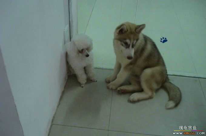 [ԭ��]��������������֮��