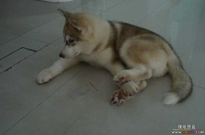 [ԭ��]��������������֮��