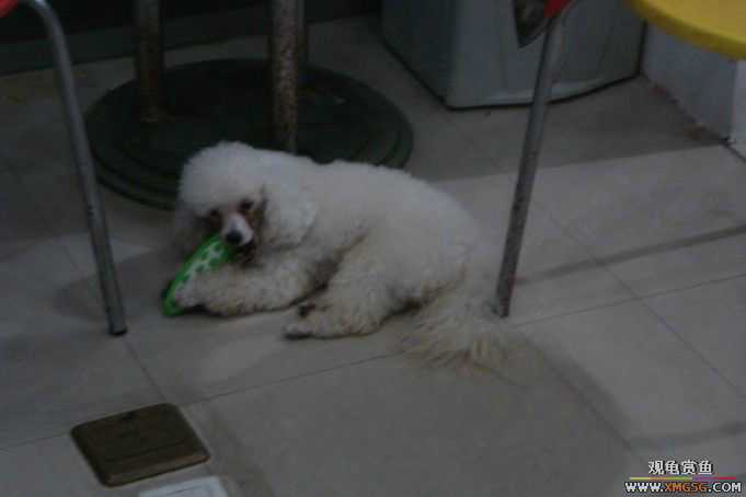 [ԭ��]��������������֮��