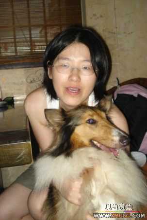 [ԭ��]��������������֮��