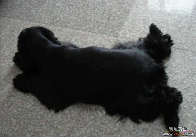 [ԭ��]��ȫ���������