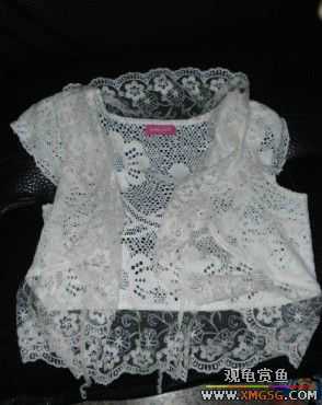 [ԭ��]���֣��ܼܰҡ�