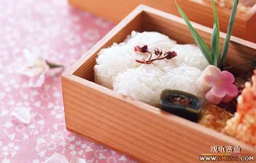 [ת��]ͼ�⣺��˾������ ��������ѧ