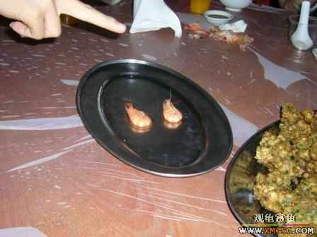 �ܵܿ��Ϲ�����ȫ��һ��ȥ�ƣ�