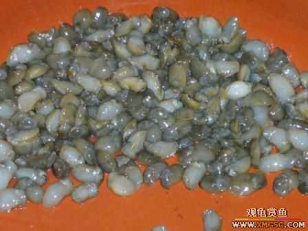 �ܵܿ��Ϲ�����ȫ��һ��ȥ�ƣ�