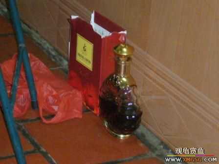 �ܵܿ��Ϲ�����ȫ��һ��ȥ�ƣ�