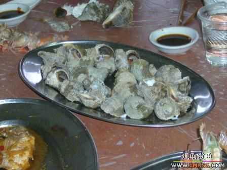 �ܵܿ��Ϲ�����ȫ��һ��ȥ�ƣ�