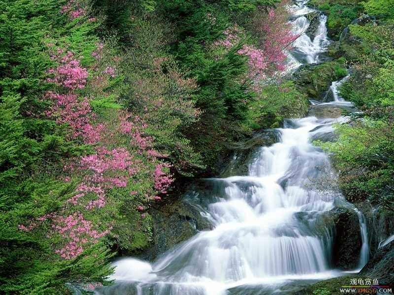 �����ķ羰������2