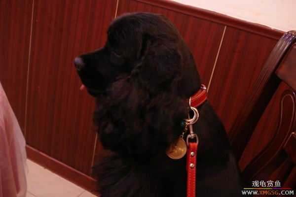 [ԭ��]����������������ӷ������