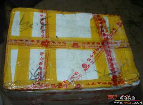 2007.7.21��̳�ڶ��������Ź��㱨��