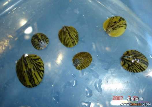 2007.7.21��̳�ڶ��������Ź��㱨��