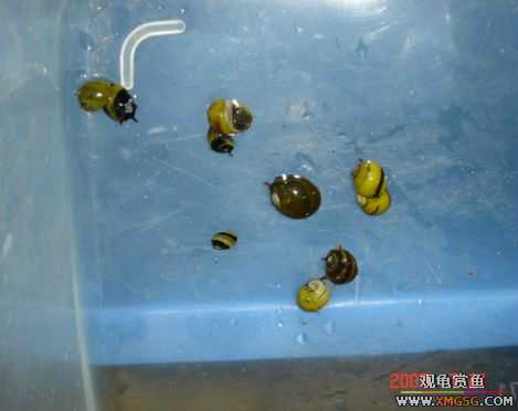 2007.7.21��̳�ڶ��������Ź��㱨��