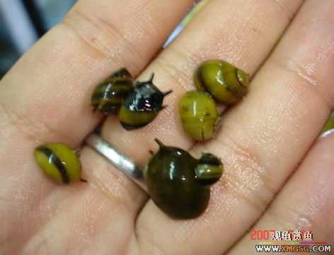 2007.7.21��̳�ڶ��������Ź��㱨��