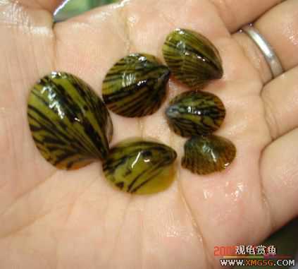 2007.7.21��̳�ڶ��������Ź��㱨��