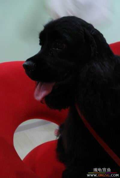 [ԭ��]����������������ӷ������