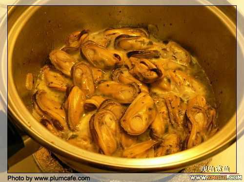 [ת��]���׵�������