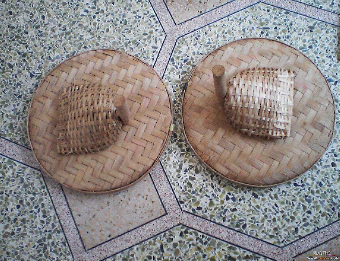 �²¿��ⶫ������ɶ�õ�