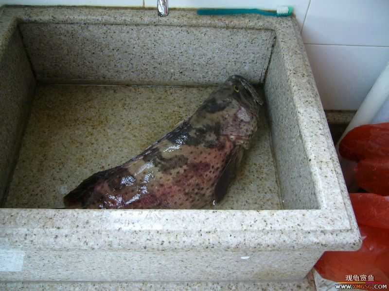 ���������ˣ������Ų���