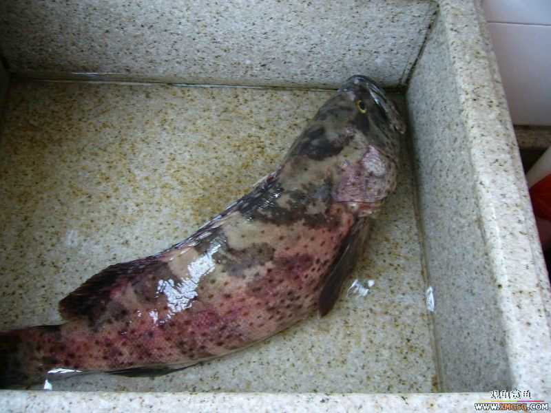 ���������ˣ������Ų���