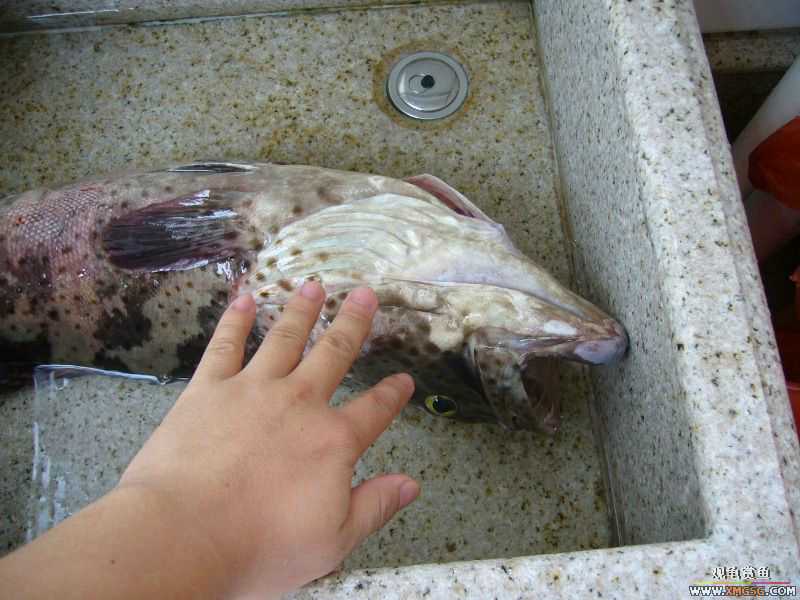 ���������ˣ������Ų���