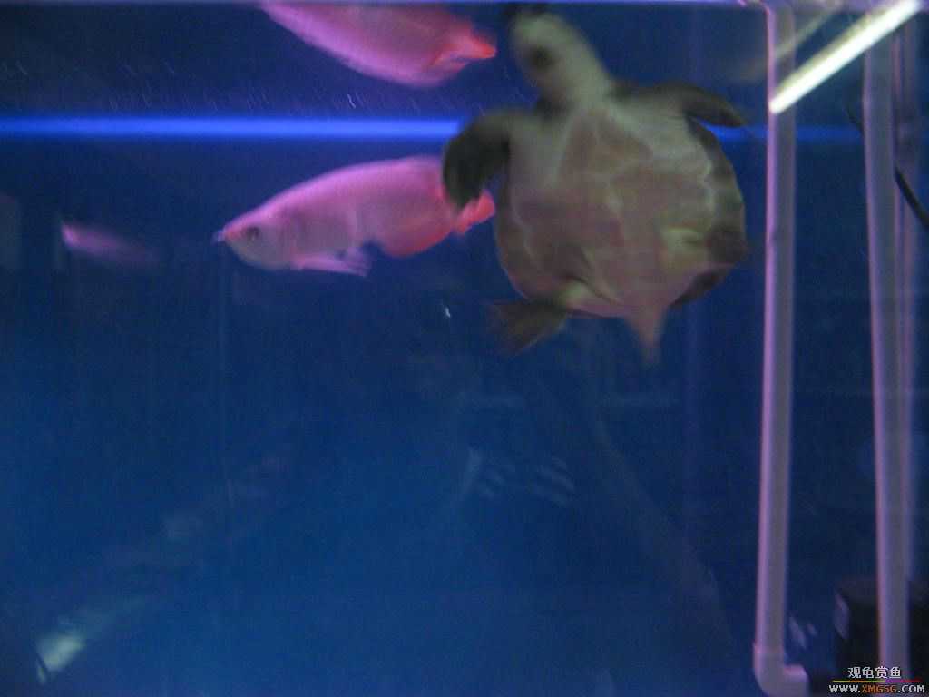 [ԭ��]�¼��º��������ǹ�