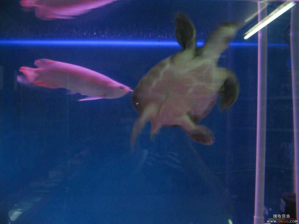 [ԭ��]�¼��º��������ǹ�