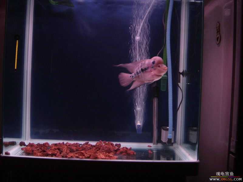 ����ת�޺��͸߸�~!(�ö���Ŷ)!�豸��ȫ