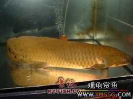 [ע��]�չ����޷��㣡��