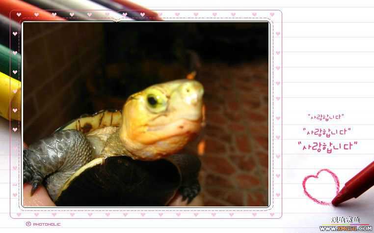 ��aľ������תһֻ״̬�ù�Ե